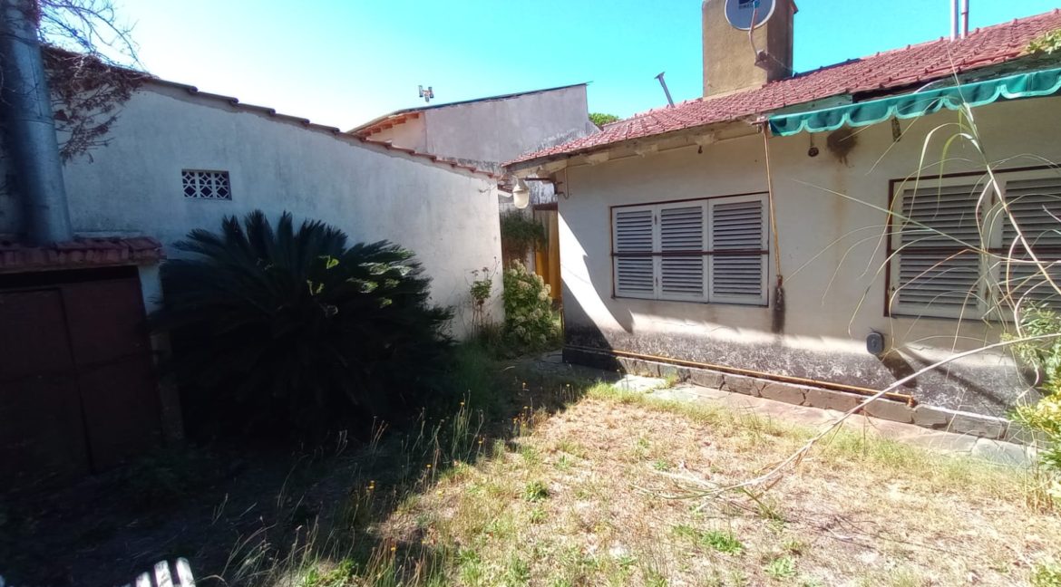 d1ded5db-40ae-43d1-bf23-65e5e143a7ed