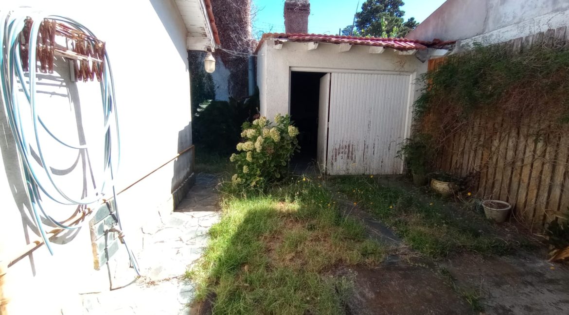 ff487a70-2e81-4b03-9d1e-20626a15f204