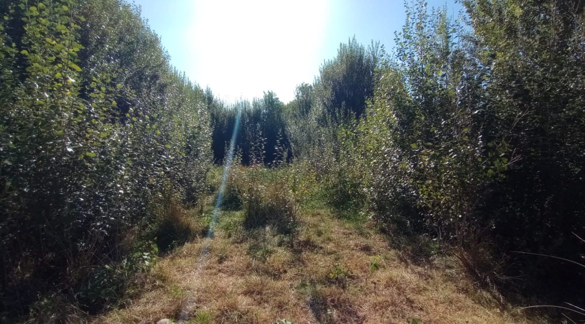 68b06121-e032-4a90-aeeb-5231aefe69d1