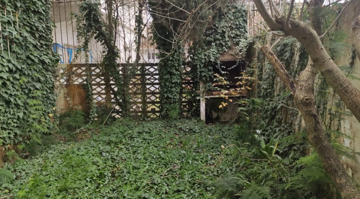 patio2