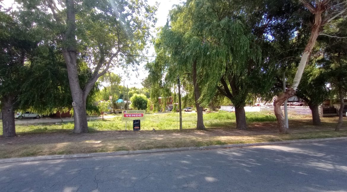 886bf6c8-78c7-4021-90ad-bb03fe6c1228