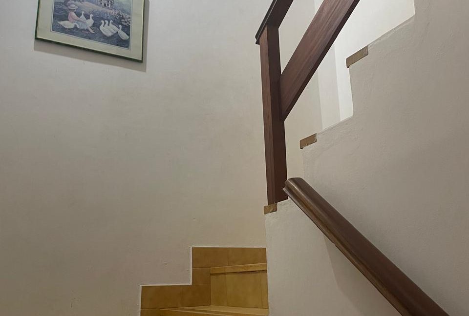 WhatsApp Image 2026-02-01 at 20.49.17