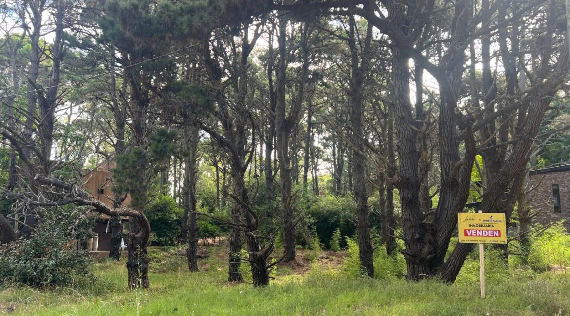 WhatsApp Image 2026-02-06 at 11.17.17 AM (1)