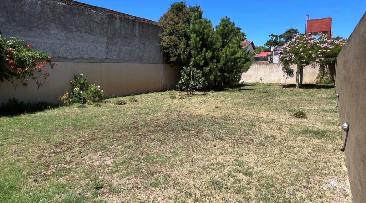 WhatsApp Image 2026-02-06 at 5.51.32 PM (3)