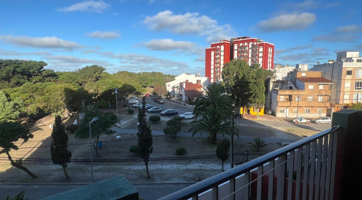 WhatsApp Image 2026-02-17 at 9.46.17 PM