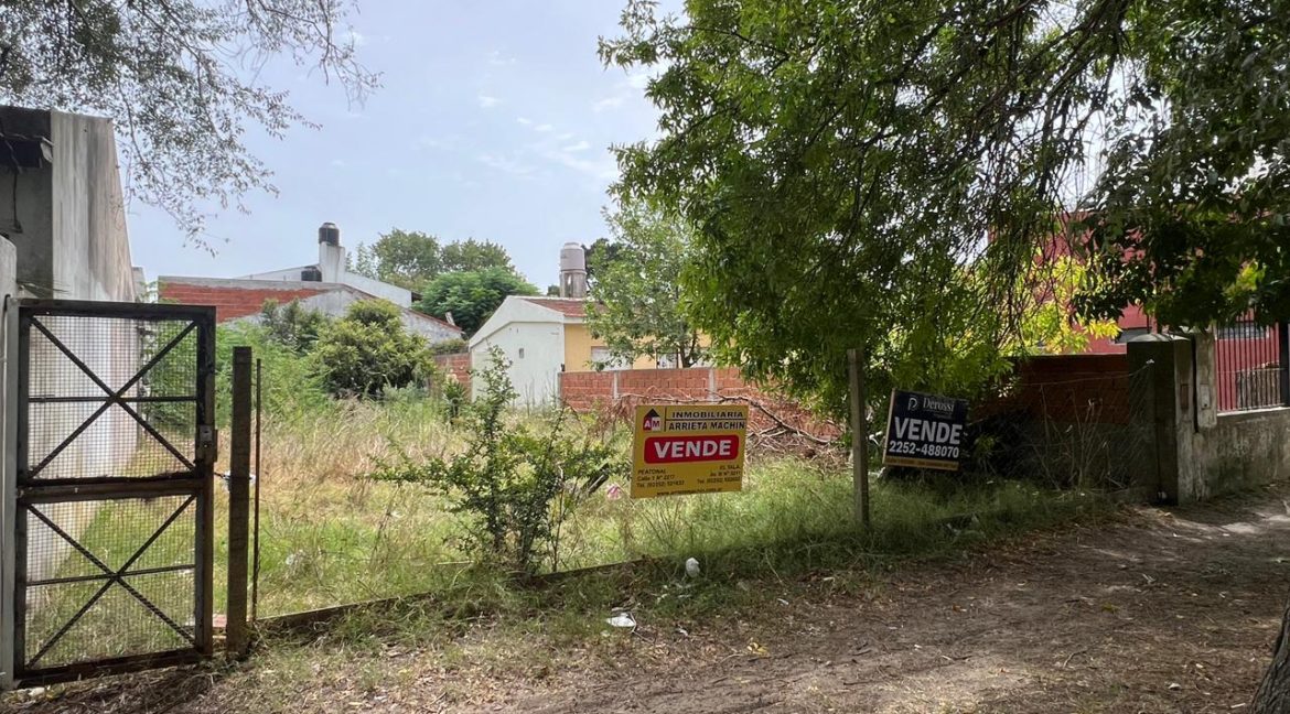 WhatsApp Image 2026-02-22 at 6.30.21 PM (1)