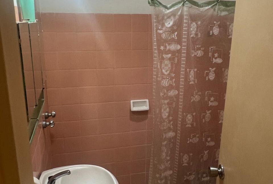 WhatsApp Image 2026-03-23 at 18.15.17 (2)