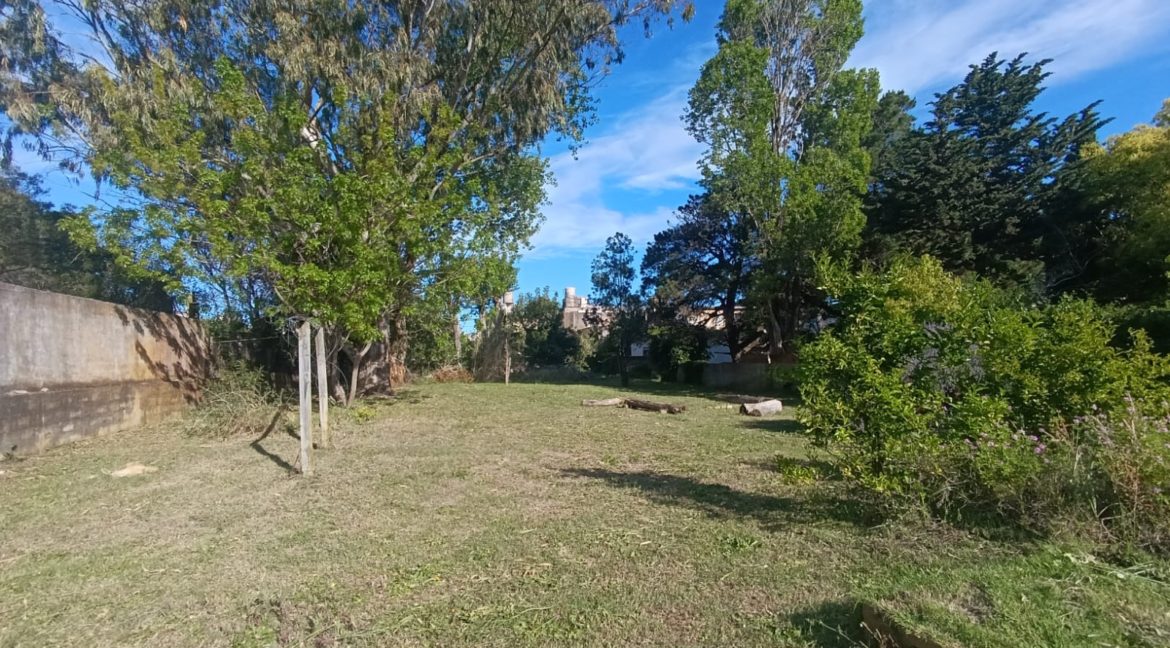 3fd96885-c22f-4954-a386-e1c0941b0da9