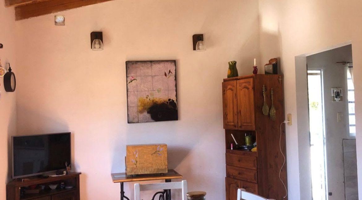 WhatsApp Image 2026-04-24 at 4.26.27 PM (2)