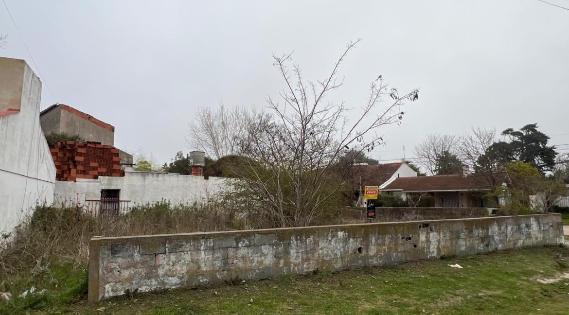 231847e6-c164-4009-848d-15caf16d527b